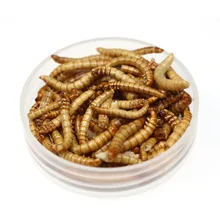 Bimoo 1ボトル鯉釣り餌ドライパンワーム淡水魚昆虫餌ミルワーム Aliexpress スポーツ エンターテイメント