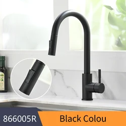 Matte Black Pull-Out Kitchen Faucet with Single Hole Design (866005 Black)