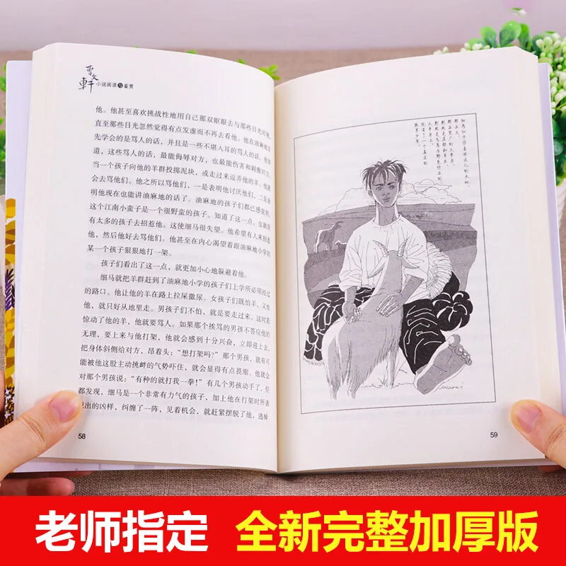 2 книги/партия Cao Wenxuan классические романы книги для детей китайский книга с