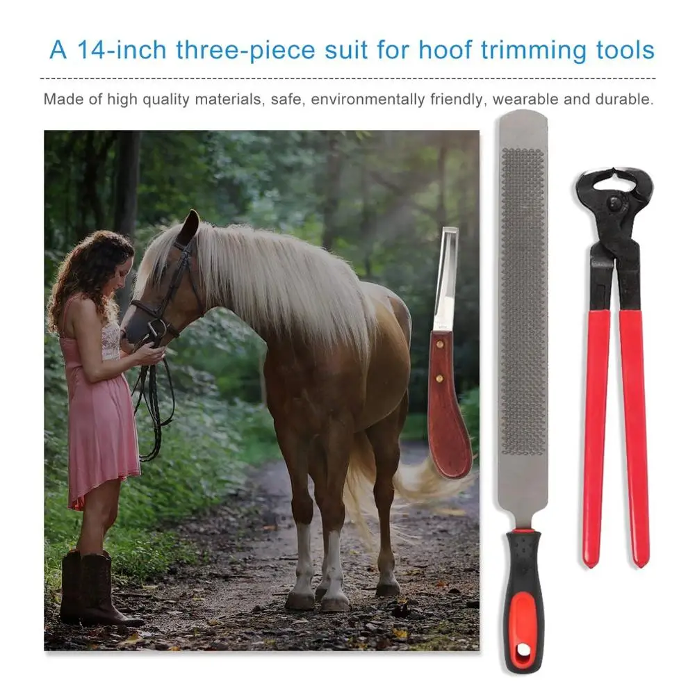 

4PCS Horse Farrier Hoof Nipper Trim Shoeing File Cattle Horse Hoofs Tool Clipper Pliers Horseshoe Forceps Hoofs Knives Kit
