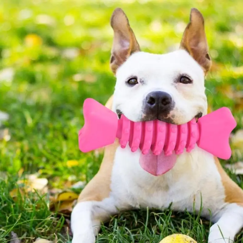 TPR Pet Chew Molar Toys Candy Shaped Non-toxic Interactive Rubber Bite Resistant Interactive Durable Dog Accessories