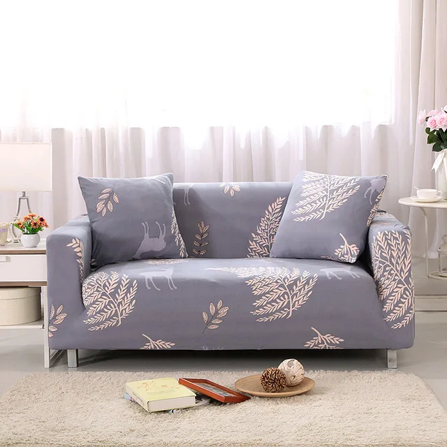 4060458584_1765845249.640x640