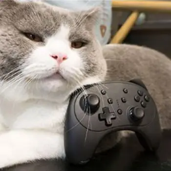 

Wireless Bluetooth Game Remote Controller Joystick for Switch Pro Switch Lite