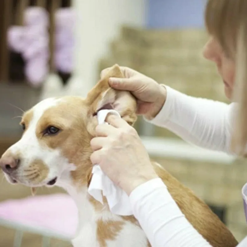 Уход за домашними животными ушной порошок для домашних животных для собак кошек уход за ушами для домашних животных здоровый и безопасный уход за ушами для домашних животных чистящие средства