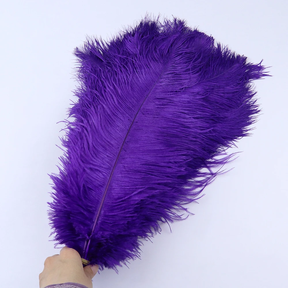 TS0145315 45-50cm ostrich feathers 3