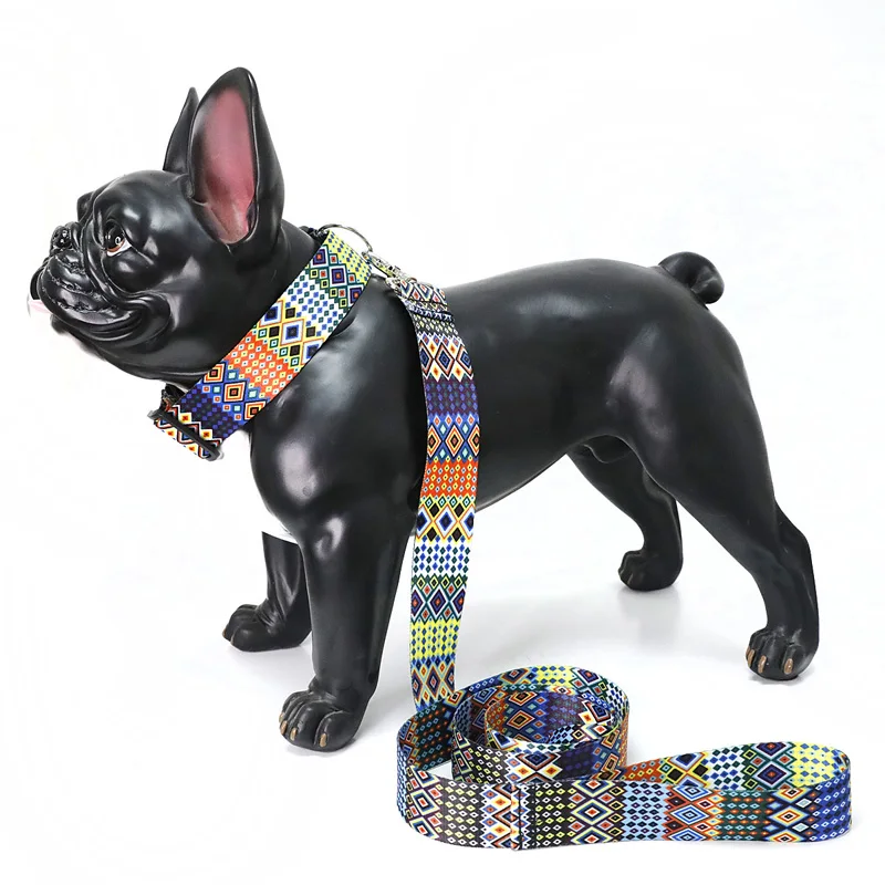 Printed Dog Leash (3)