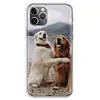 Mobile Phone Accessories