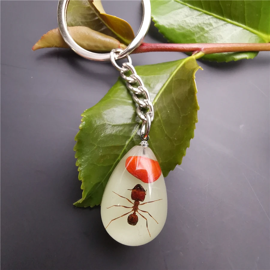 10pcs Scorpion Crab Keychain Glow in the Dark Real Insect Keychain Beetle Keychains for MenKey Ring Specimens Collecting Trinket