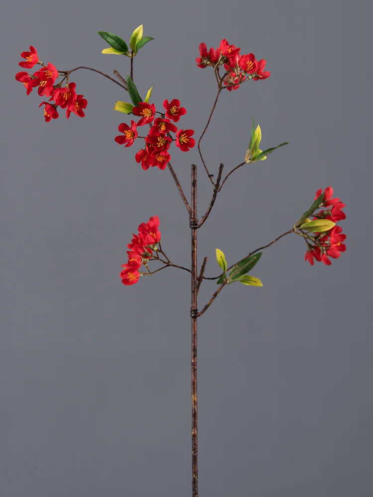 桃花枝 红色_01.jpg