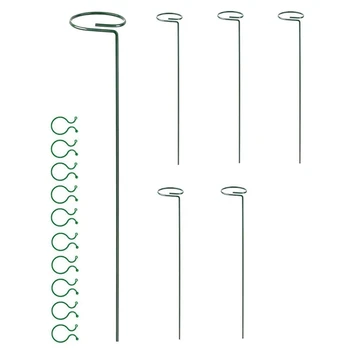 

NEW-6 Pack Plant Support for Amaryllis Flowers - Steel Stakes for Single Stem Potted Plant Cage for Tomatoes Rose Lily Clove