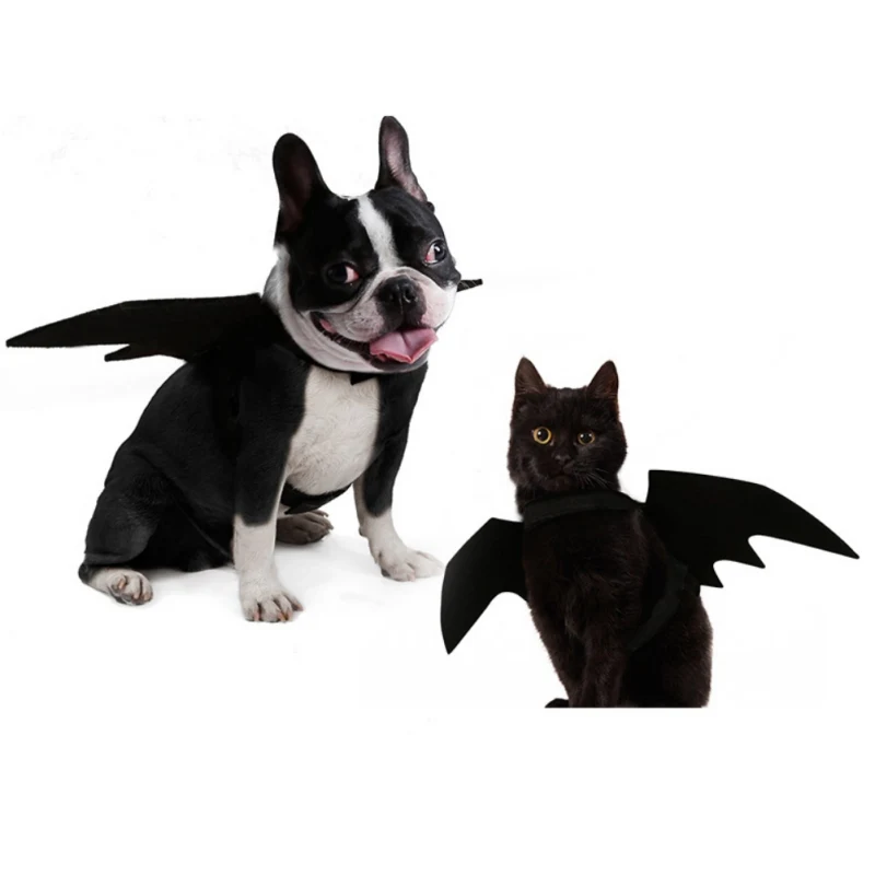 bat wings cat costume