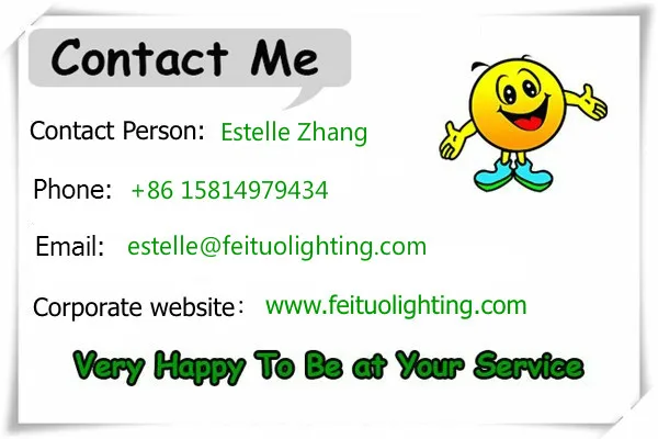 estelle zhang_1