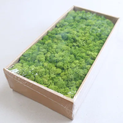 green 3 Flone зеленые растения зеленый мох Свадебные украшения для дома аксессуары бесмерный мох долгосрочное сохранение Моха - Цвет: green 3