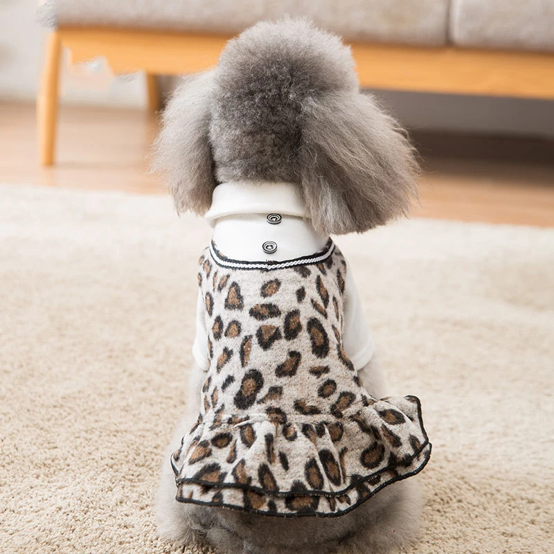 leopard dog sweater