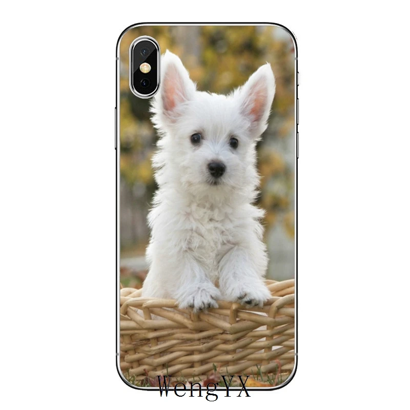 Белый, высокогорный терьер Вест-Хайленд терьер собака щенок Кошка Собака несущей для samsung Galaxy S10 Lite S9 S8 S7 S6 edge Plus S5 S4 примечание 9 8 5 4 мини Чехол
