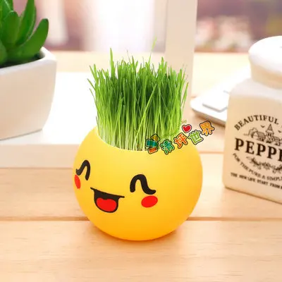lavender DIY комнатный Настольный бонсай мини Гвоздика Лаванда мята Подсолнух Горшечное растение - Цвет: lavender