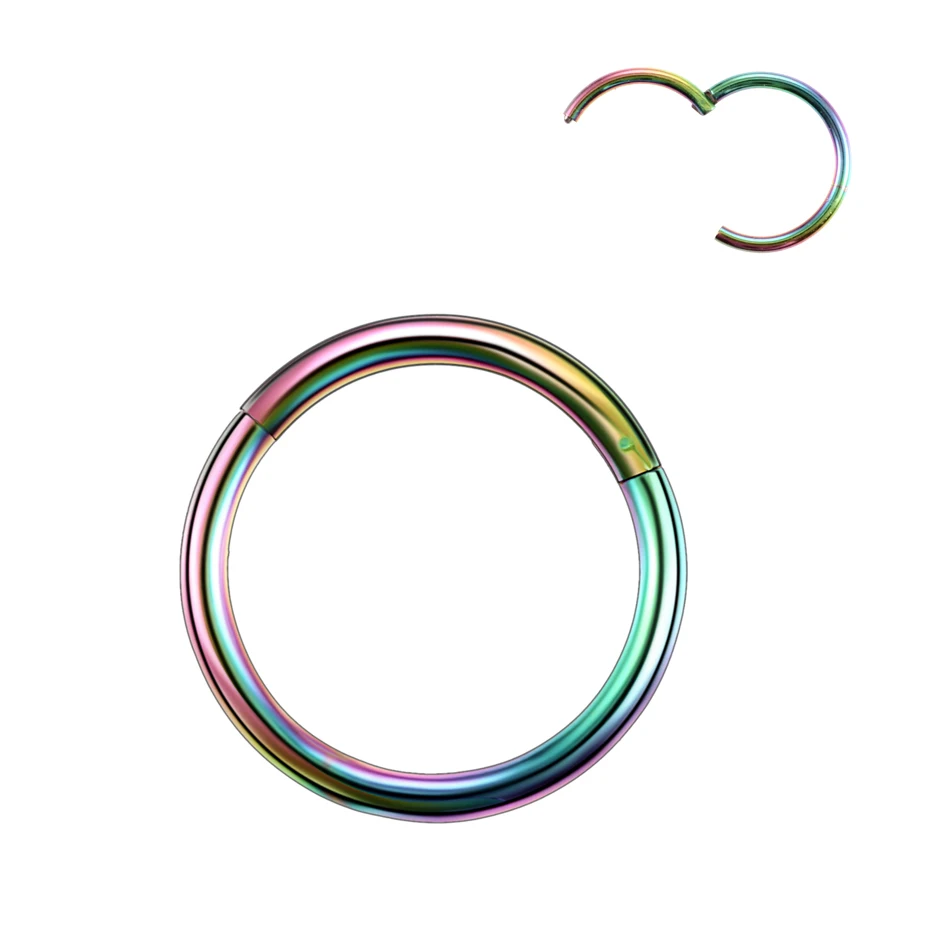 2Pcs/lot G23 Titanium Fake Nose Ring Goth Punk Lip Ear Nose Clip On Fake Septum Piercing Nose Ring Hoop Lip Hoop Rings Earrings