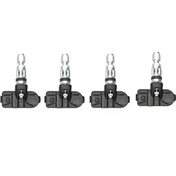 NTP200 TPMS internal Tire pressure monitoring sensors auto parts sensor Solar External Internal Universal