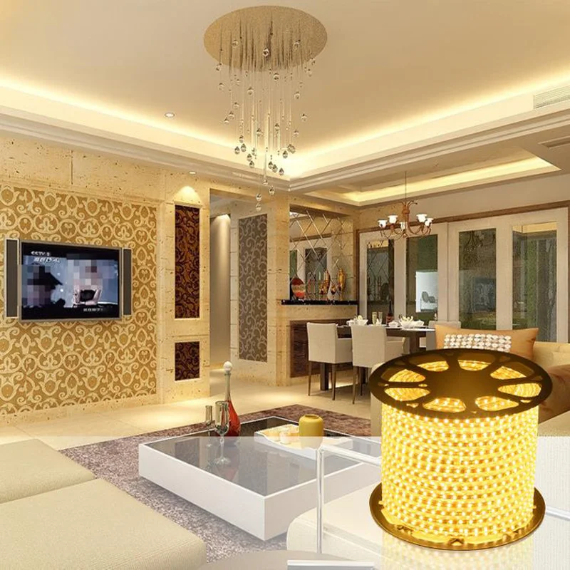 220V Waterproof Led strip light with EU Plug 2835 SMD flexible Rope Light,120 LedsM high brightness outdoor indoor decoration (20)