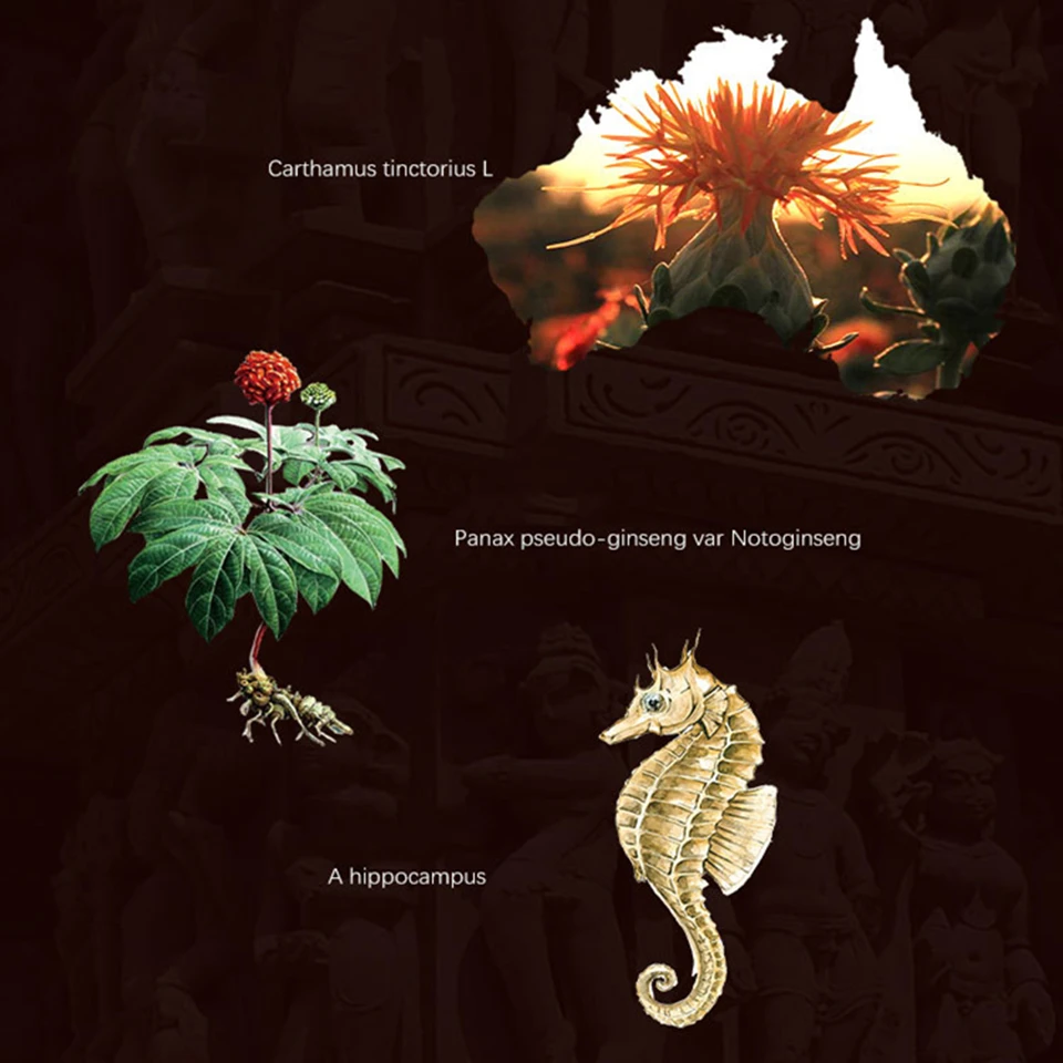 20200220_160811_000_副本