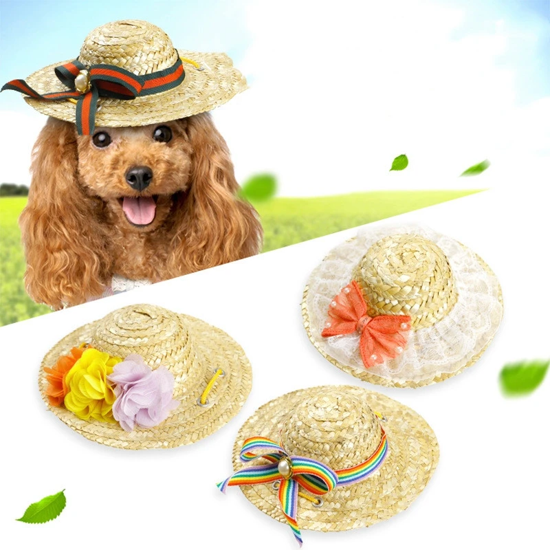 dog beach hat