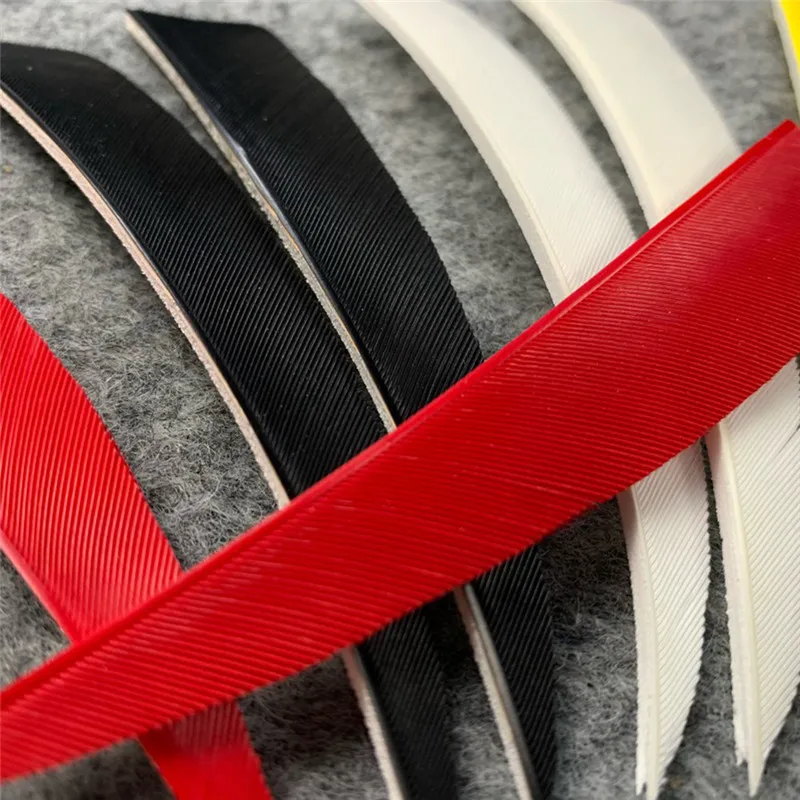 303557_no-logo_303557-3-08-g