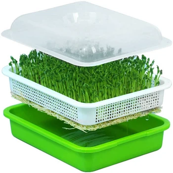 

Newest Seed Sprouter Tray with Lid BPA Free Bean Sprout Grower Sprouting Seeds Tray, Dirt Free Way and Big Capacity