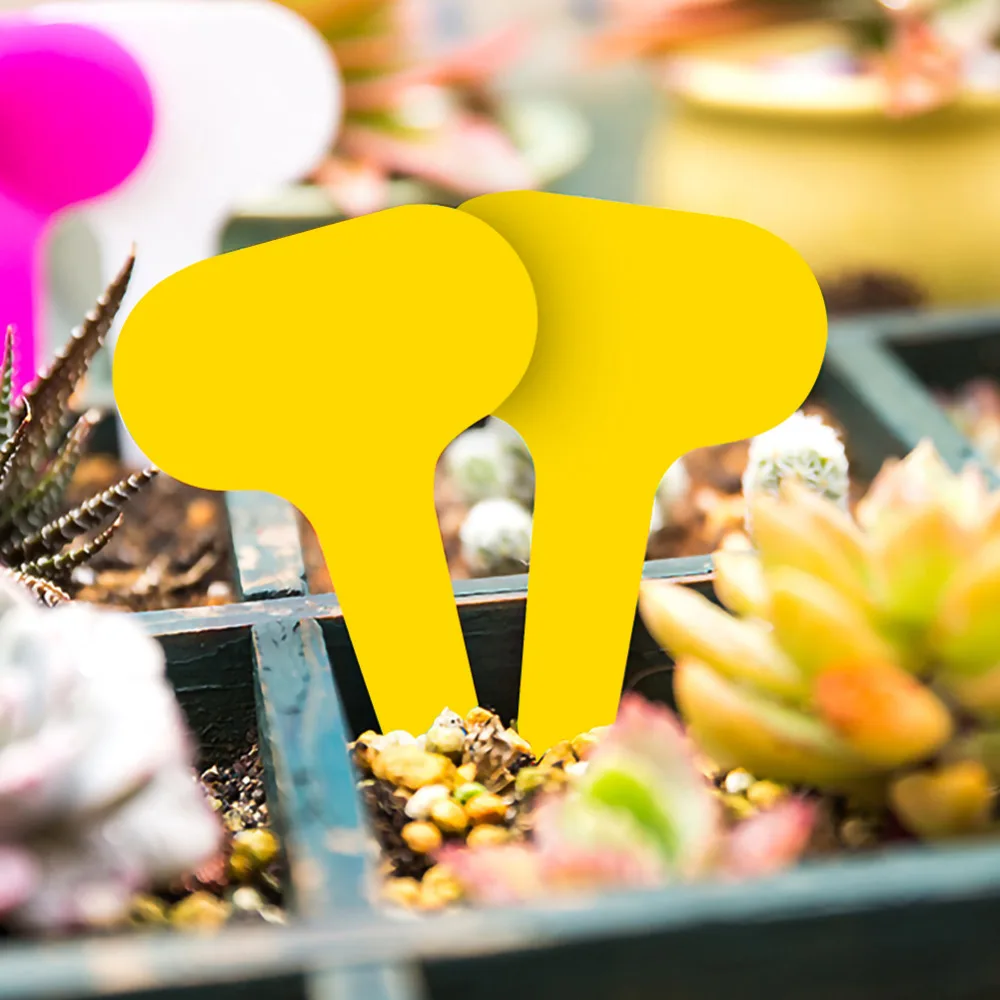 3a7f7ec9f61cdc0fec352f9921c258c8