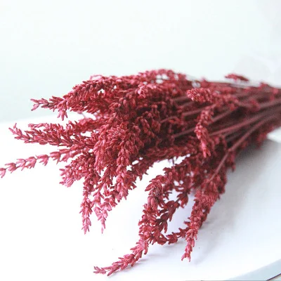 5 Lavender Dried Flowers Eternal Flower Home Decoration Flower Arrangement DIY Craft Party Decoration - Цвет: 5