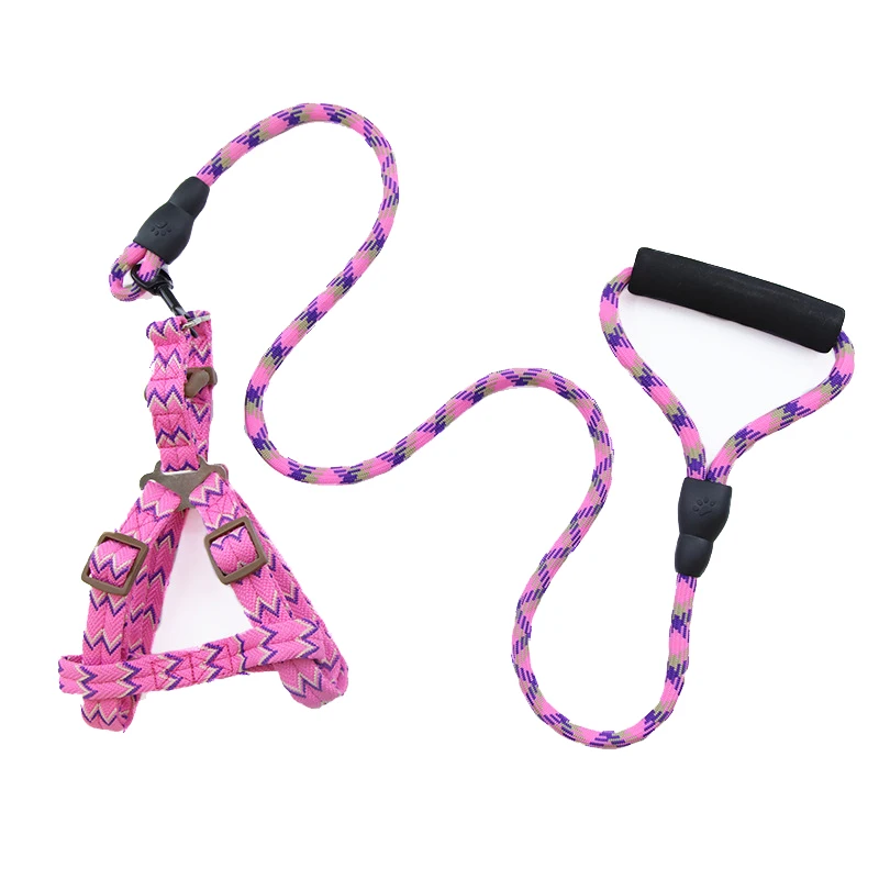 harness Собачий кошачий ошейник для собаки, собачий поводок, поводок, набор поводков для маленьких собак, уличные спортивные ремни и поводок, нейлоновые товары для домашних животных - Цвет: harness