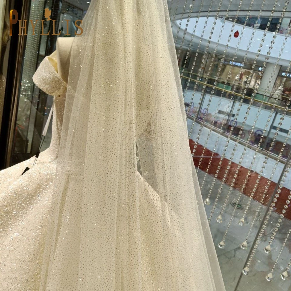 B58 Champagne Wedding Veil Bling Bridal Veils Long 3M/5M Sparkle Veil Cathedral Wedding Veils One Layer Shiny Veil with Comb B58 Champagne Wedding Veil Bling Bridal Veils Long 3M/5M Sparkle Veil Cathedral Wedding Veils One Layer Shiny Veil with Comb