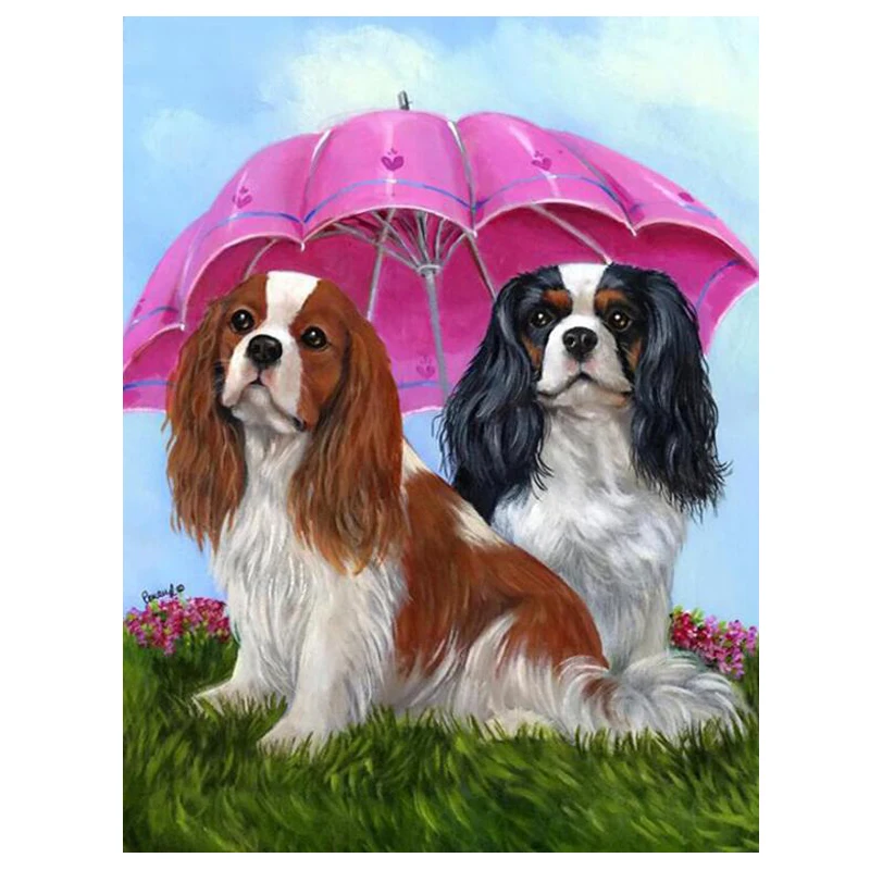 5D DIY Diamond Painting Cavalier King Charles Spaniel Dog Embroidery Full Square Cross Stitch Mosaic picture of rhinestone L148 | Дом и сад