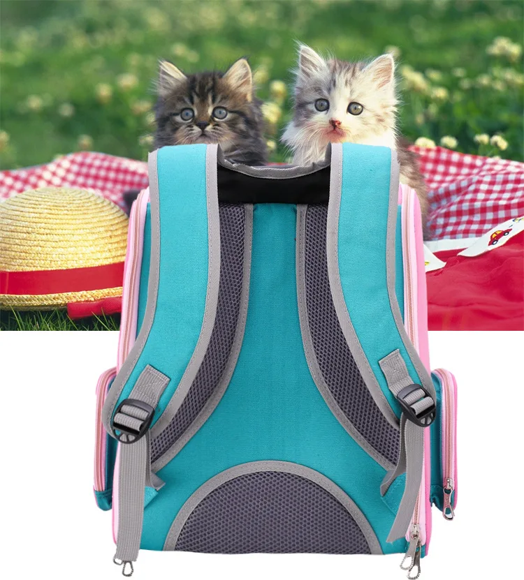 12336349447_686886075