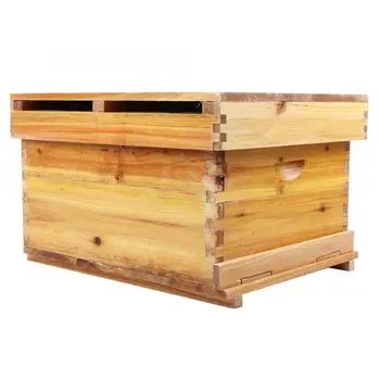 

Beekeeping Tools Wooden Honey Keeper Beehive Box 10 Frame Beekeeping Box Kit Beekeeping Tool Beekeeping Catcher Box Cell Cups