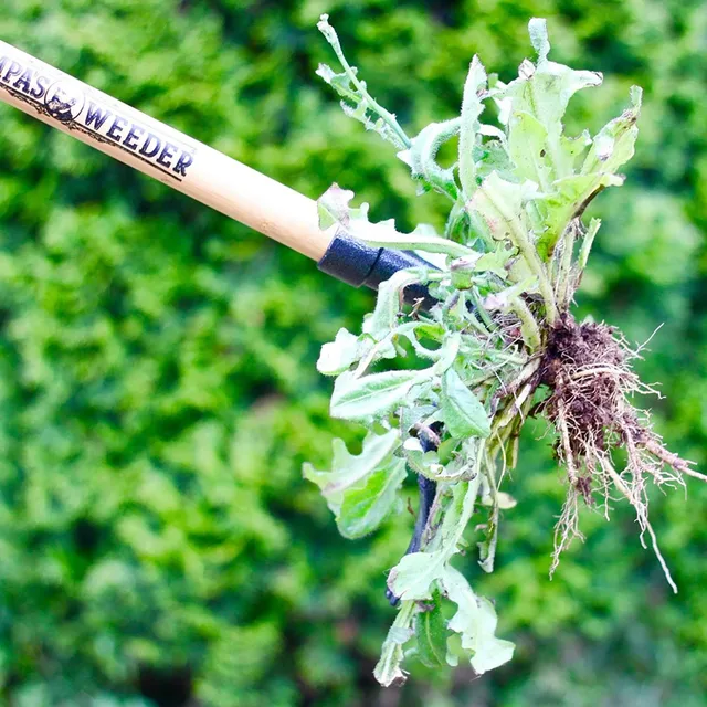 A Füves Gyökér Húzószerszámok Kerti Ültetési Elemek Kényelmes Kertészeti Szerszám Álló Kézi Gyomirtóhoz Gyepkerthez - Image 6