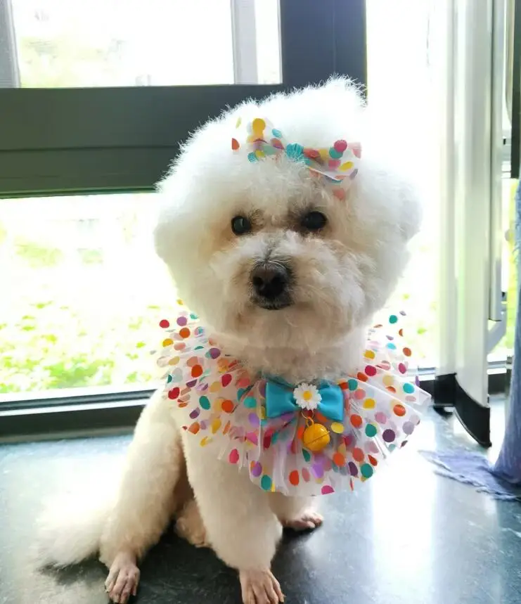 QQ截图20200407113005