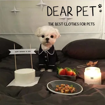 

Pet Clothes Spring Summer Imitation Silk Cat Buttons Paragraph Comfortable Pajamas Small Dog Two Foot Clothes Serving Pet Suppli