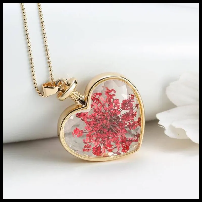 150N36 心形植物干花 5