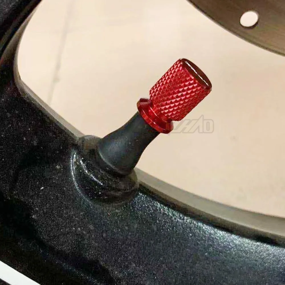 DUCATI MONSTER TIRE VALVE (12)