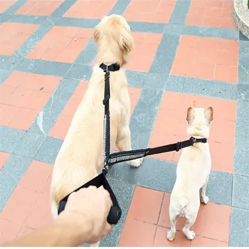 

Walk 2 two dogs one leash Nylon No Tangle Reflective nylon webbing Pet Leash for dog & cat Running or Training Collar or Harness