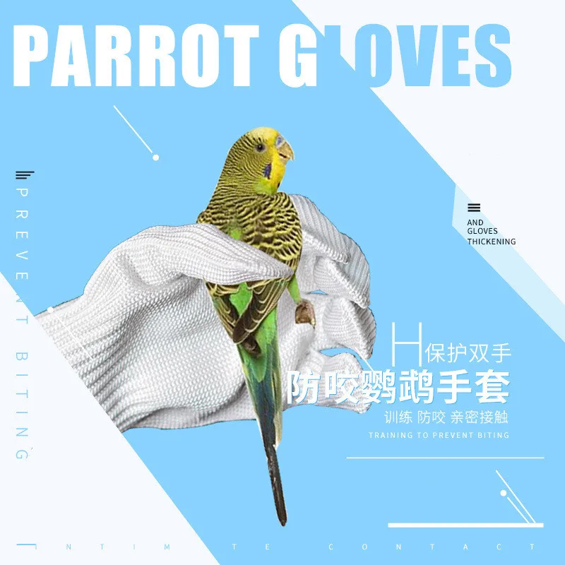 parrot training gloves