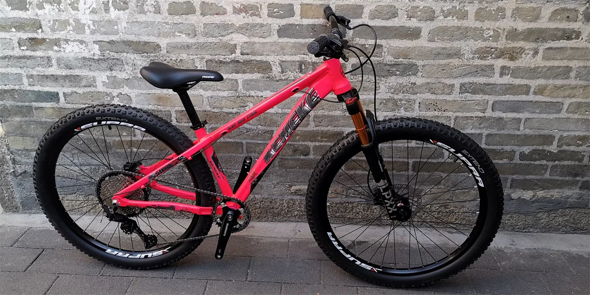 Bicicletta Da 10 Pollici Mountain Bike 14 Pollici Dirt Bike 10 Velocità