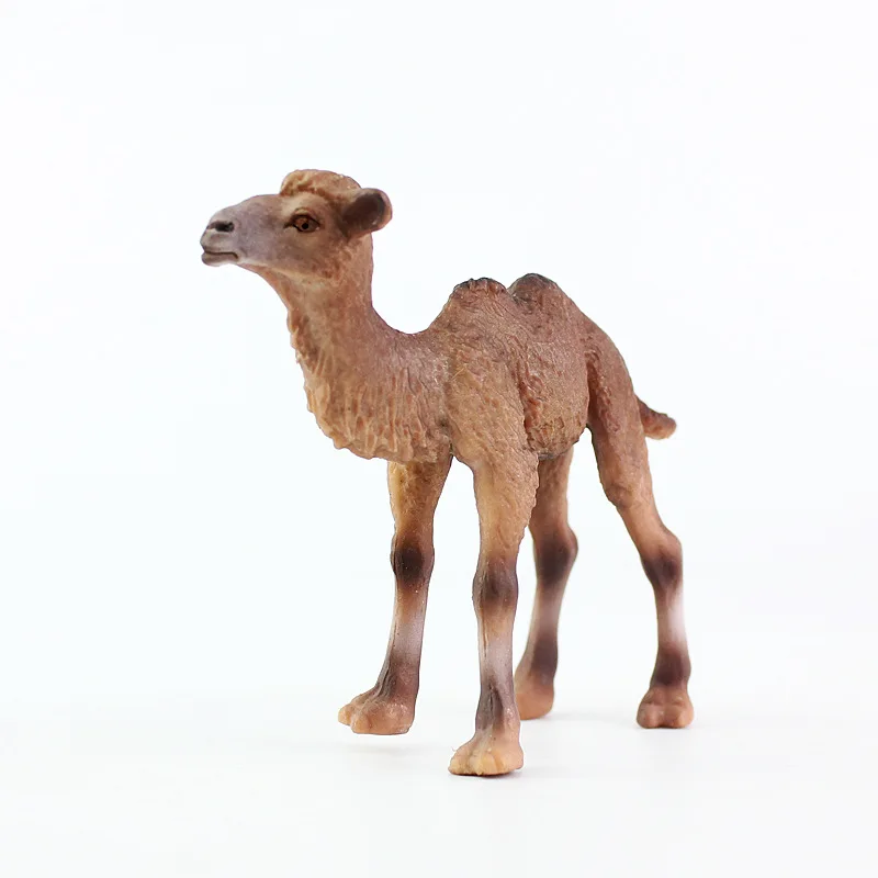 Cross Border Hot Sales Model Wild Animal Bimodal Small Camel Plastic Solid Static CHILDREN'S Toy Decoration Gift