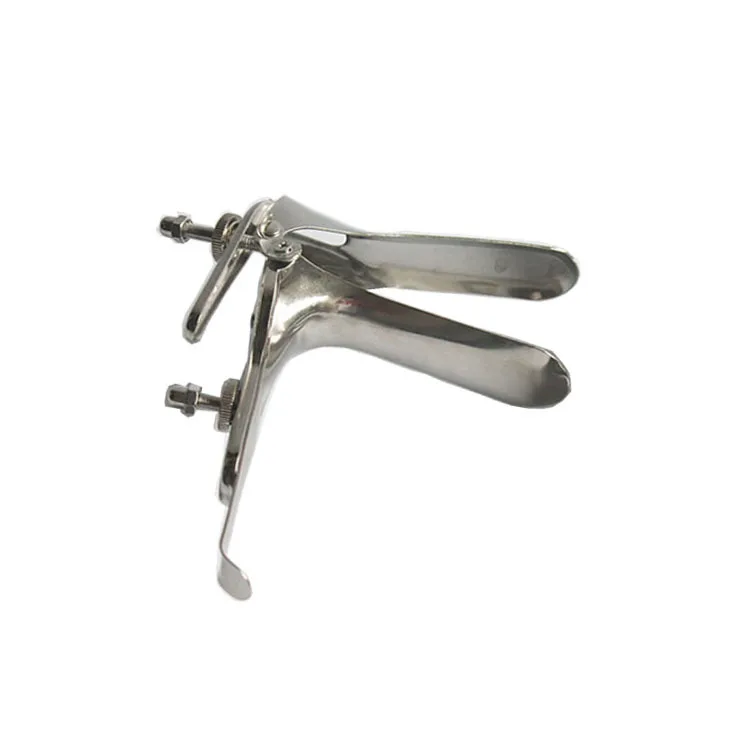 5337842843_1039510484