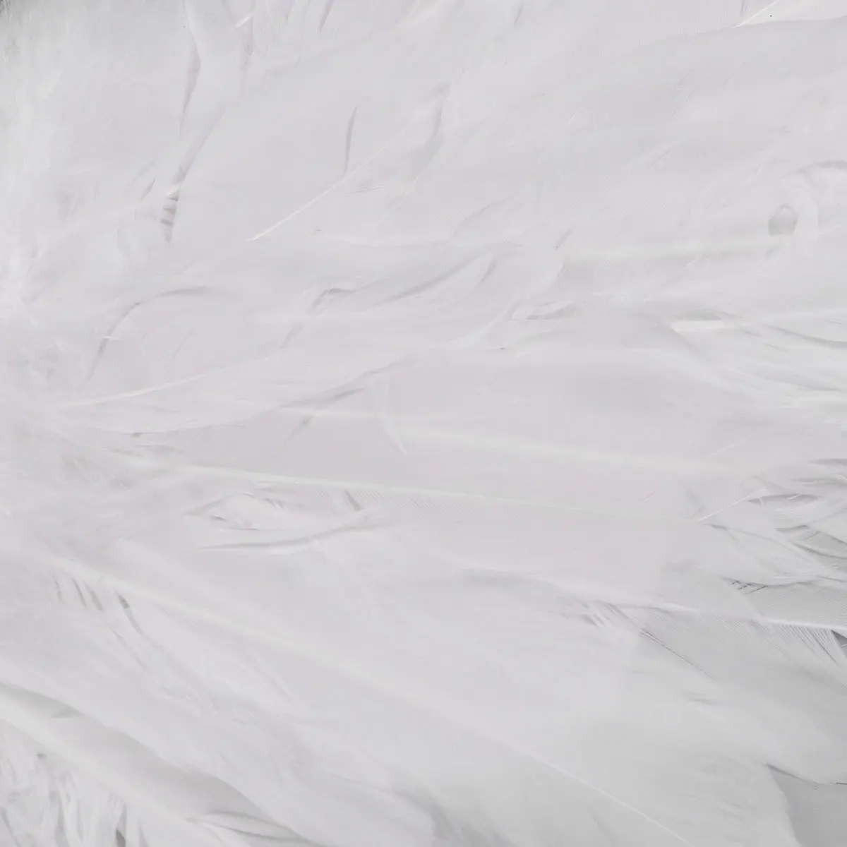 Fashion White Feather Angel Wings for Dance Party Carnival Cosplay Costume Stage Show Masquerade Christmas Holiday Fancy Dress