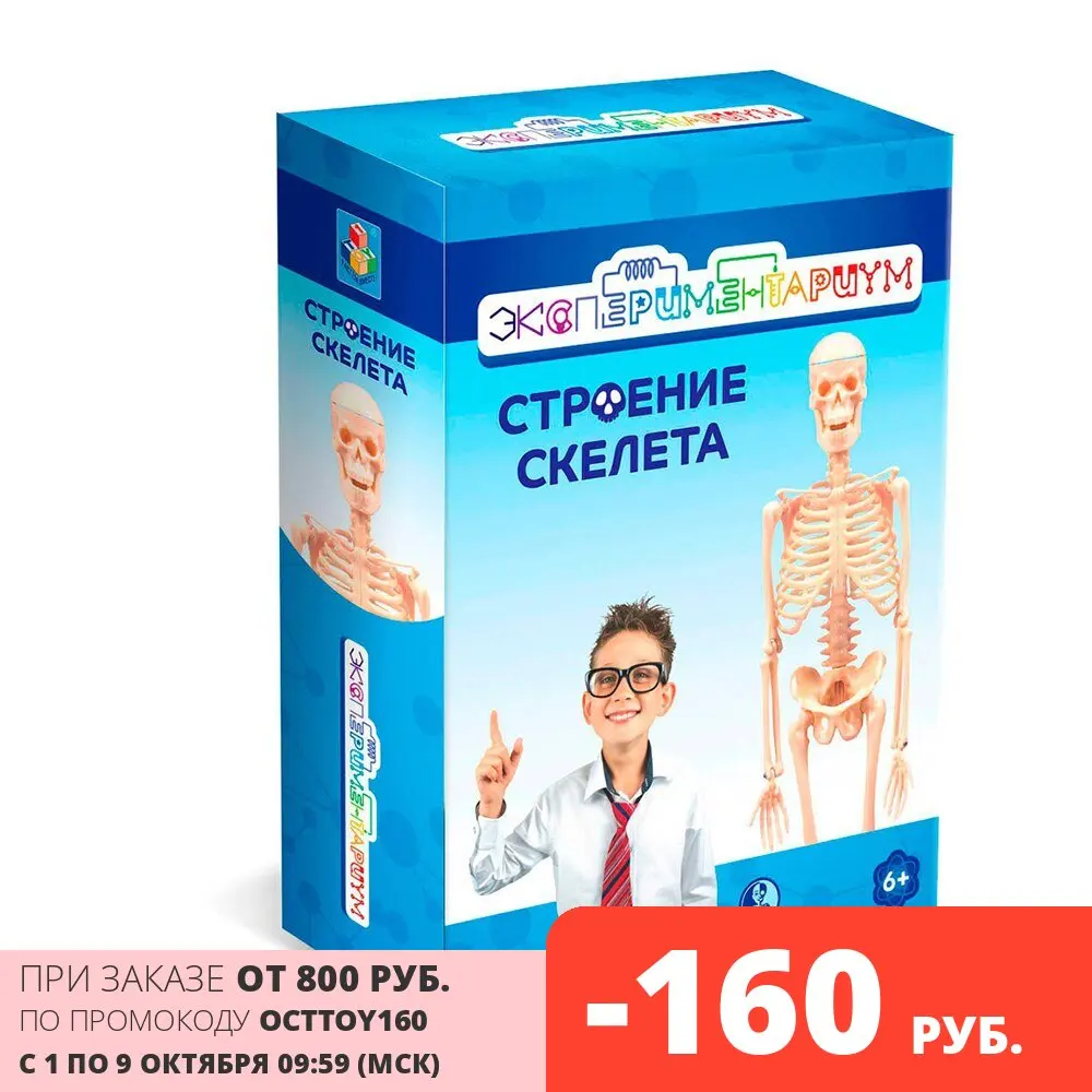 Научный набор ЭКСПЕРИМЕНТАРИУМ Набор &quotСтроение скелета&quot школьная физика