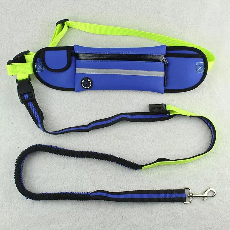RoyalBlue Многофункциональные водонепроницаемые карманы для занятий спортом, бега, бега, собак, поводок для собак, поводок для щенков, поводок, цепные ошейники, ремни, товары для домашних животных - Color: RoyalBlue