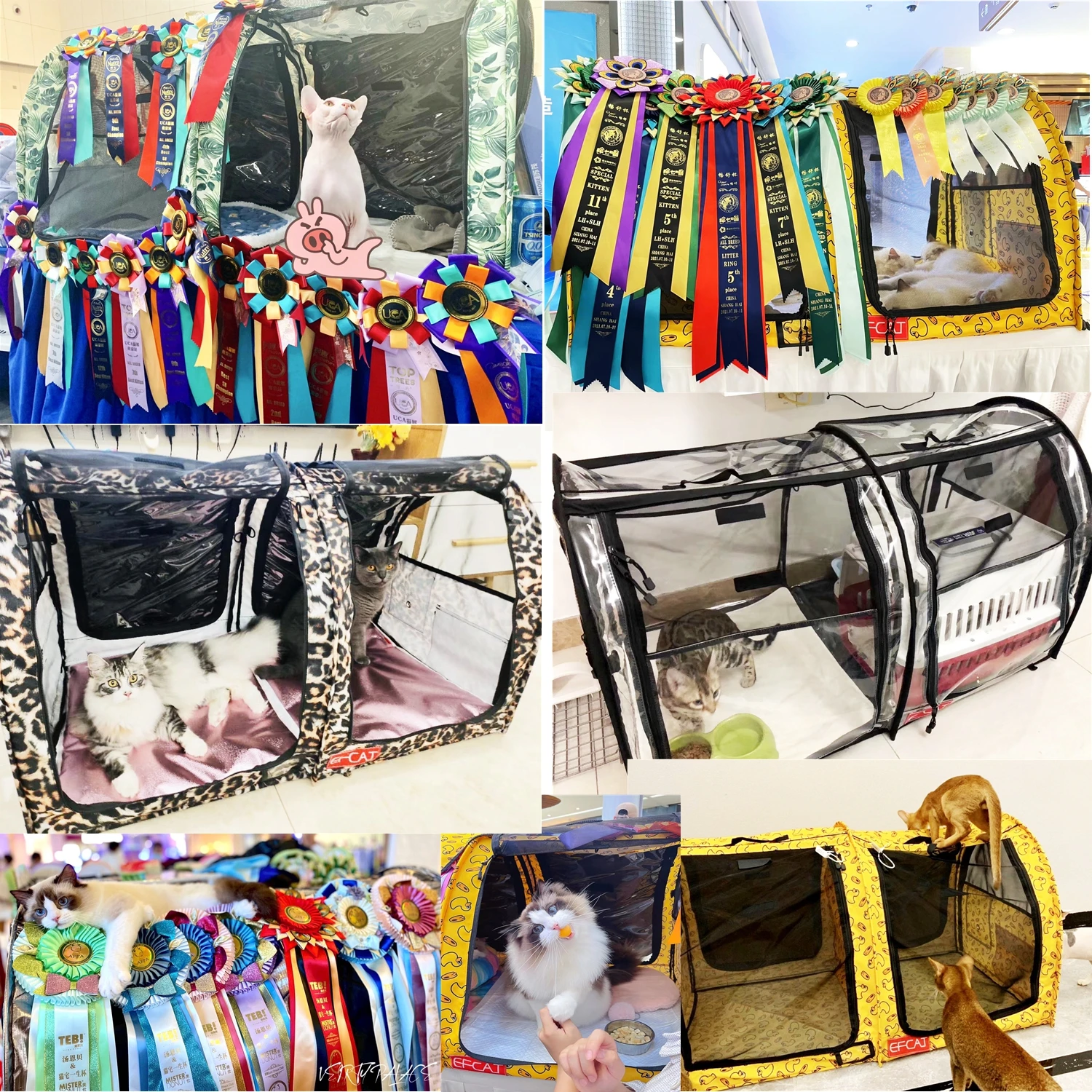Large Pet Cat Cage For Cat Exhibition Foldable Cattery Delivery