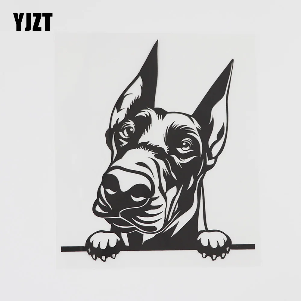 YJZT 13.2CMX15.5CM Doberman наклейка Peeking Dog Peek a Boo виниловая Автомобильная черный/серебристый