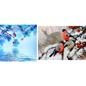 

2 set Full Drill 5D DIY Diamond Painting Diamond Embroidery Cross Stitch Rhinestone Painting - "Winter Birds" & "Orchid"